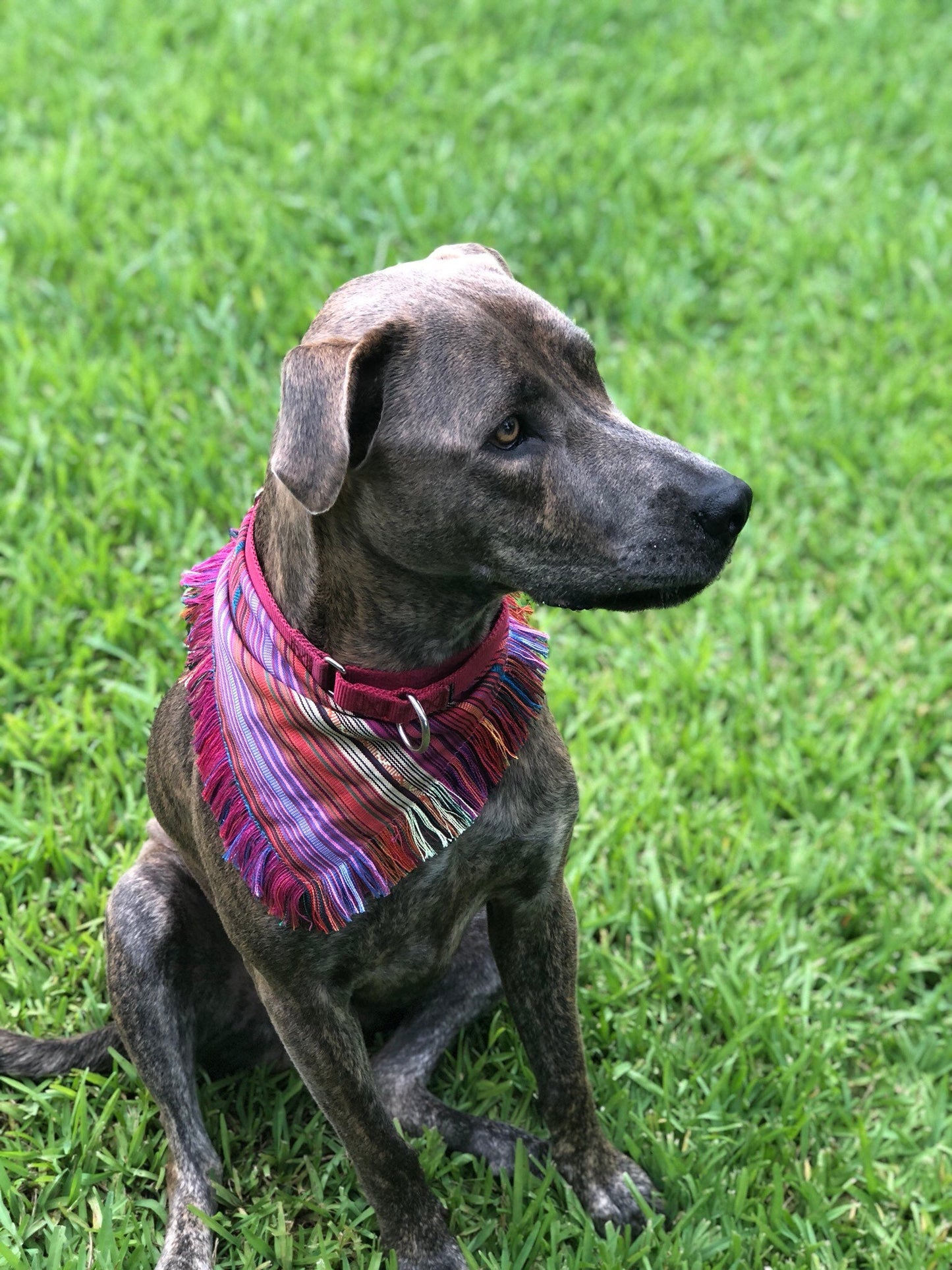 Mexican Cambaya Dog Bandana, Dog Accessories, Dog Clothe, Puppy Bow, Pet Scarf, ethnic , reversible, snaps on, tie on, summer bandana
