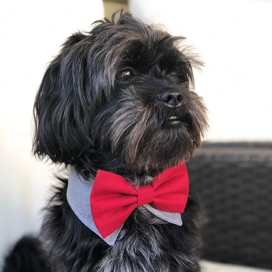 Dog Bowtie Collar Tuxedo