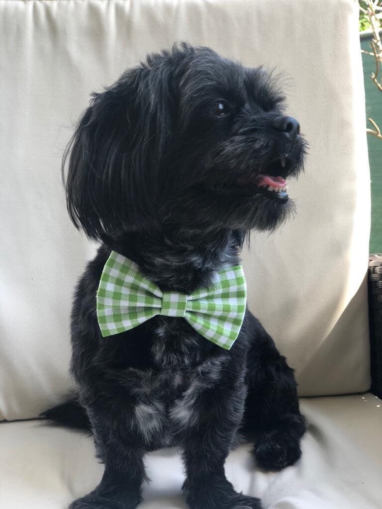 Handmade Summer Dog Bowtie, Adjustable Pet Collar Bow