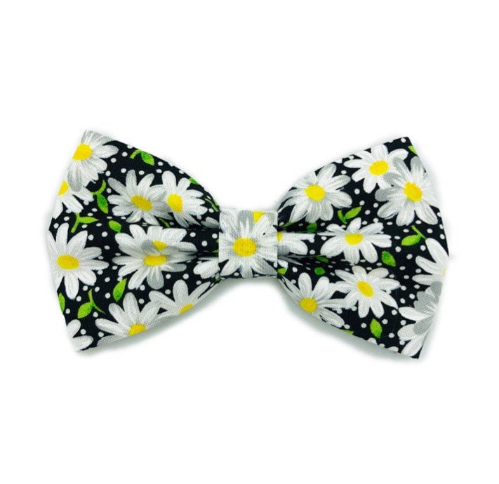 Black Daisy Dog Bowtie, Pet Collar Accessory