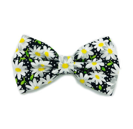 Black Daisy Dog Bowtie, Pet Collar Accessory