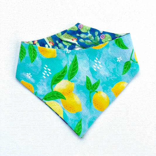 Reversible Lemonade Cactus Dog Bandana, Snap-On Pet Scarf