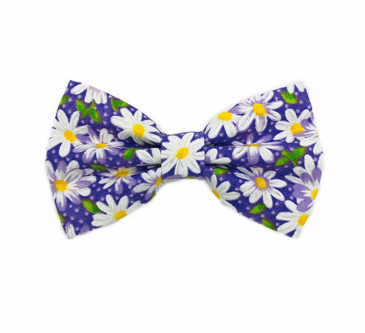 New! Light Purple Daisy Dog Bowtie, pet accessories, bow ties, spring dog accessories, dog collar, pet bow tie