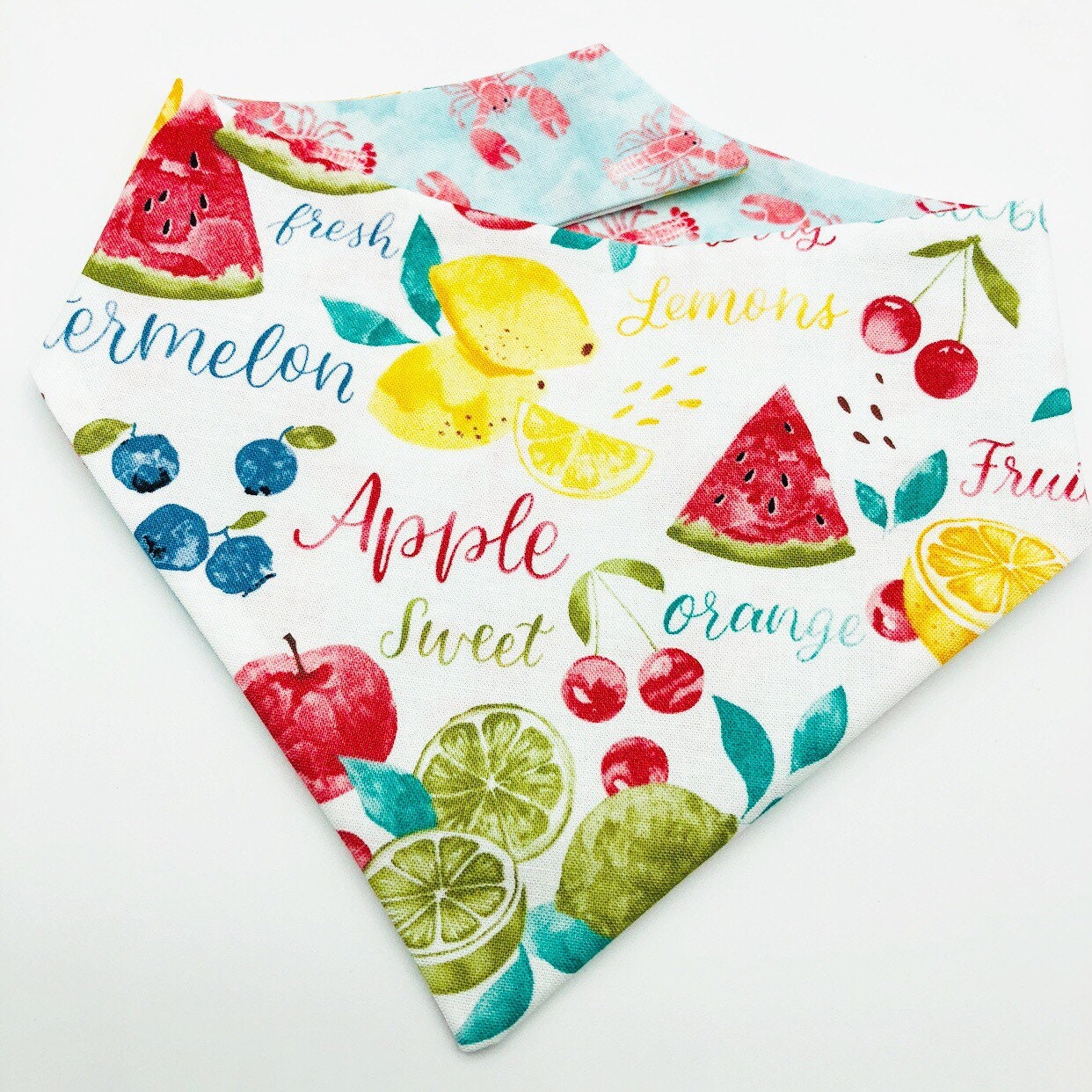 Reversible Fruit & Crab Dog Bandana, Snap or Tie Pet Scarf