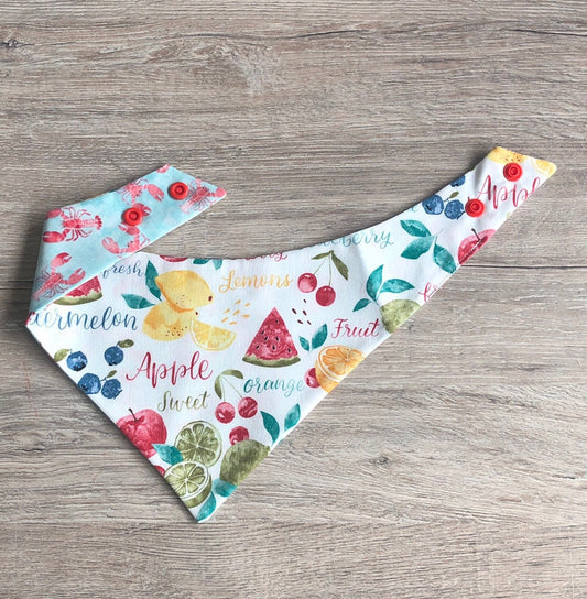 Reversible Fruit & Crab Dog Bandana, Snap or Tie Pet Scarf