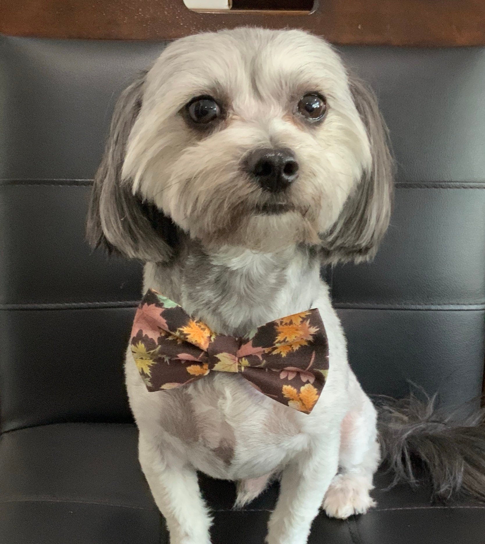 Christmas Plaid dog bowtie