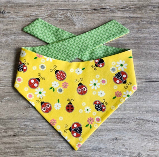 Lady bugs Dog Bandana