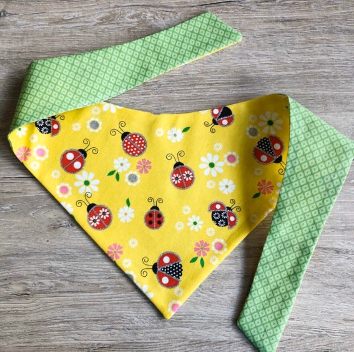 Lady bugs Dog Bandana