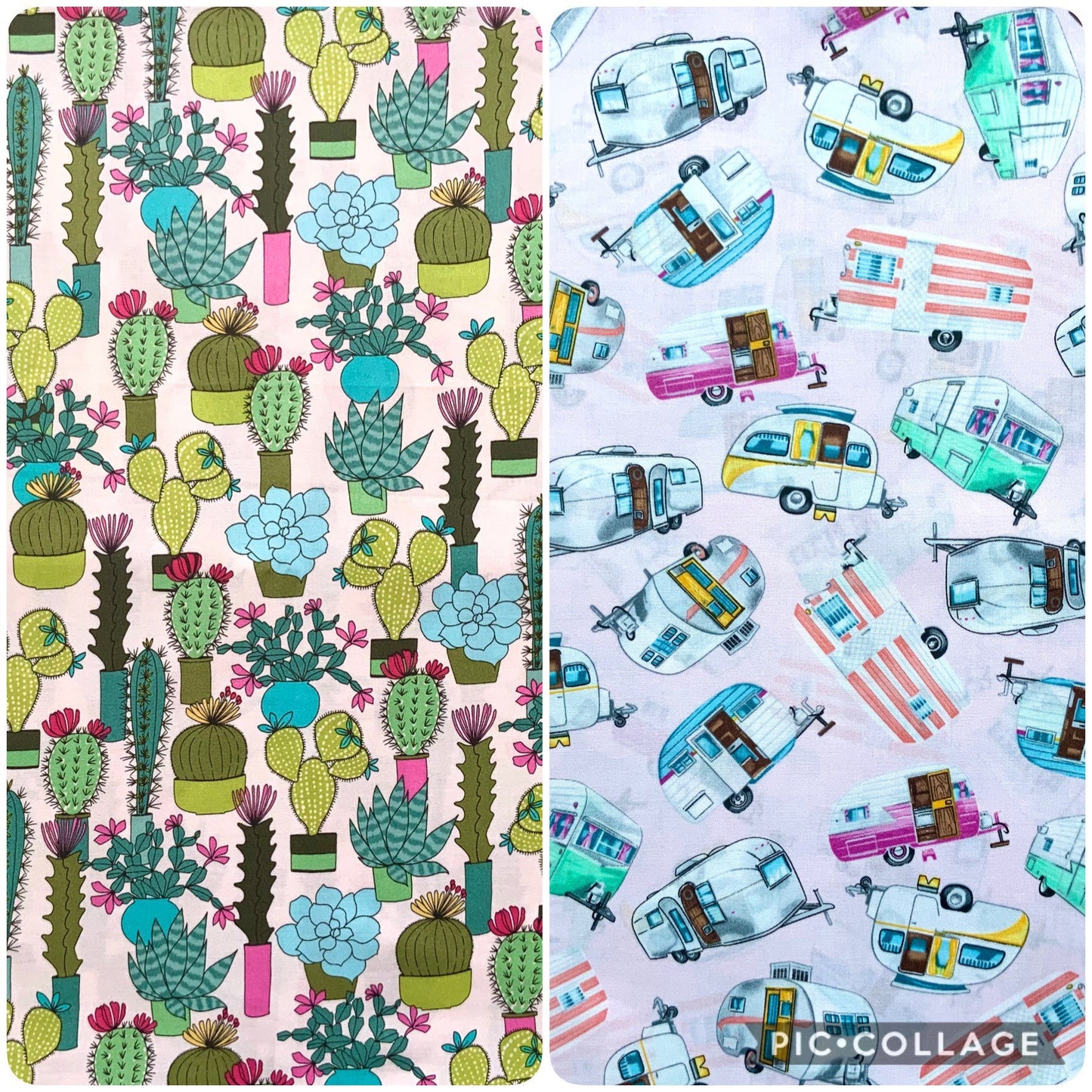 RV and Cactus Dog Bandana