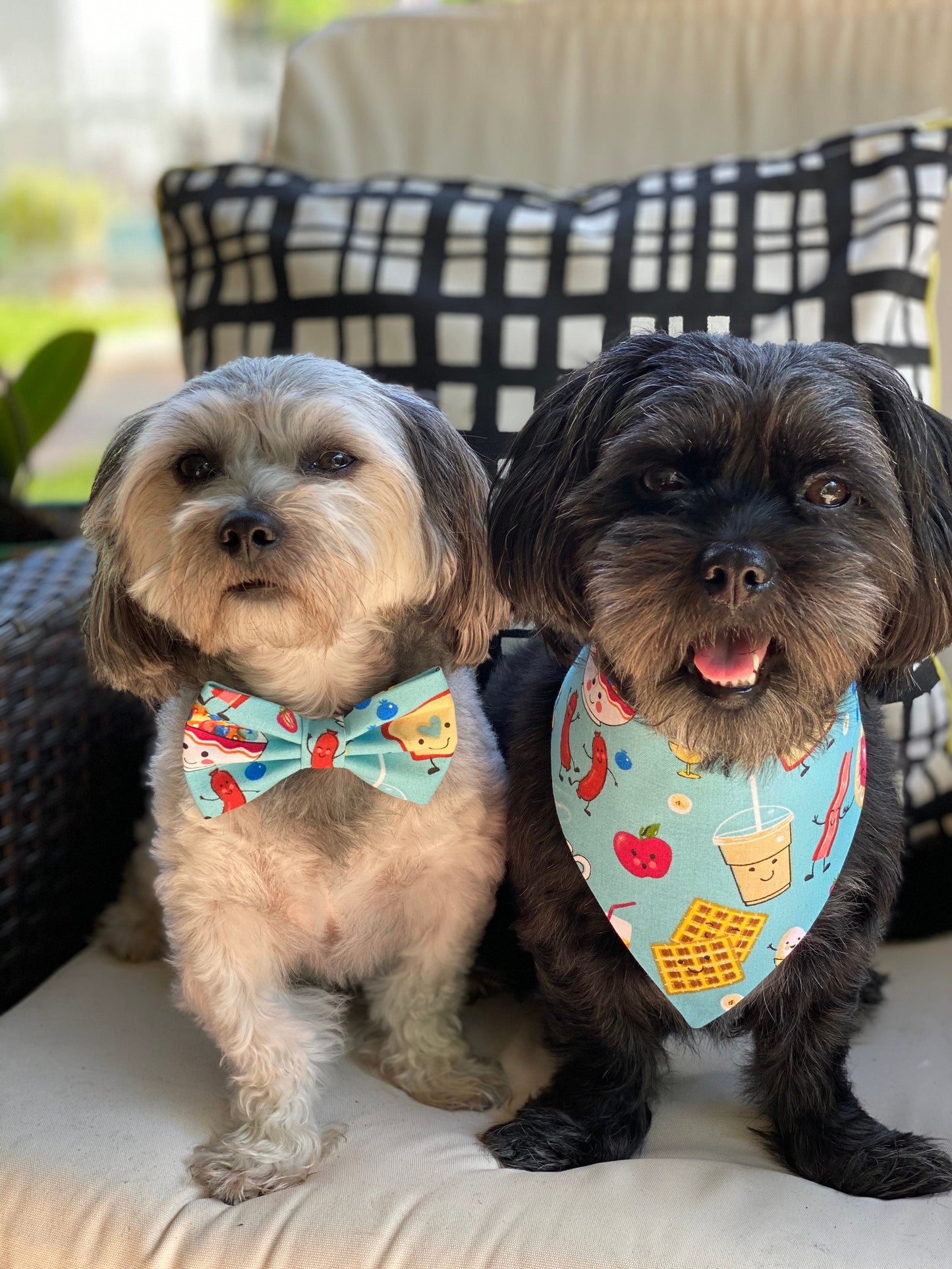 Breakfast Party and Avocado Toast dog bowtie