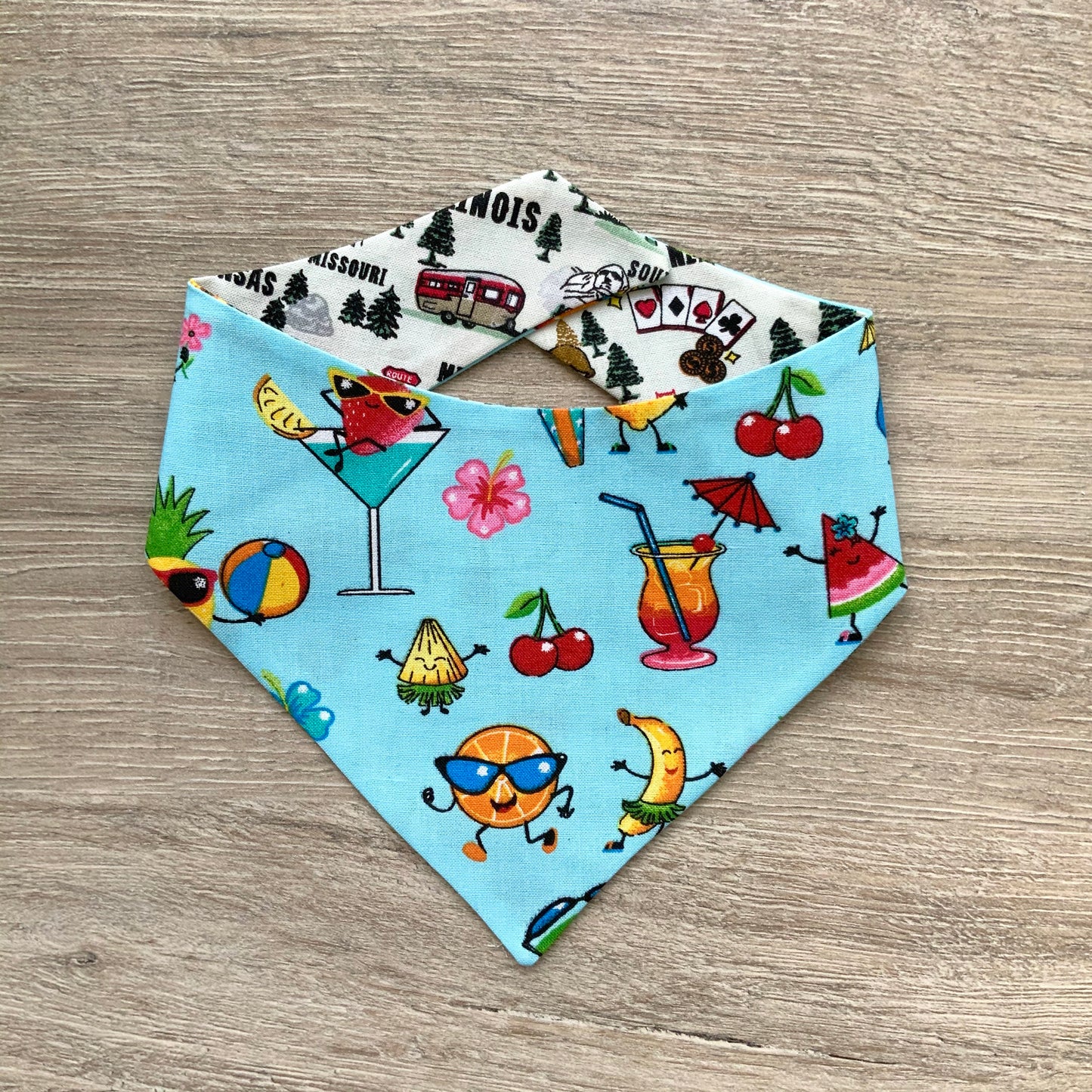 Tropical Fruit and Roadtrip dog bandana