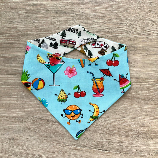 Tropical Fruit and Roadtrip dog bandana