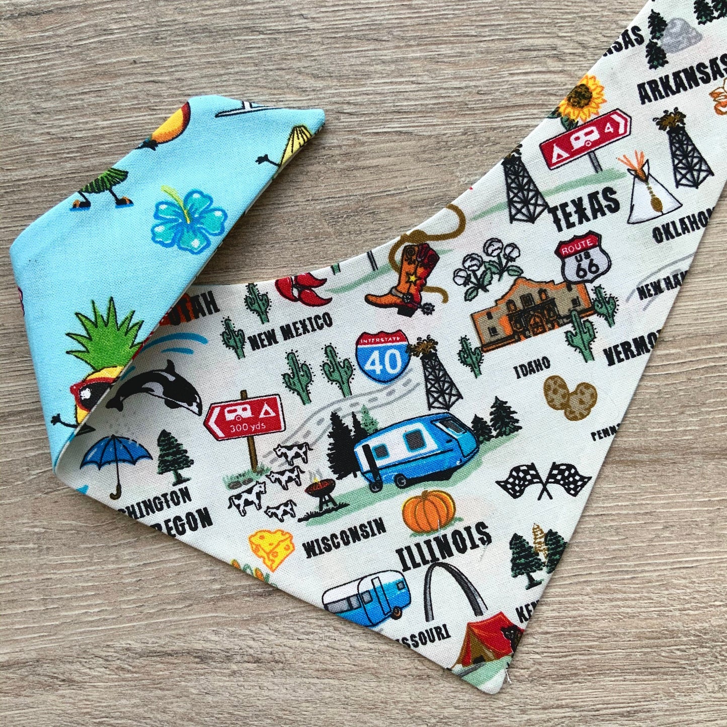 Tropical Fruit and Roadtrip dog bandana