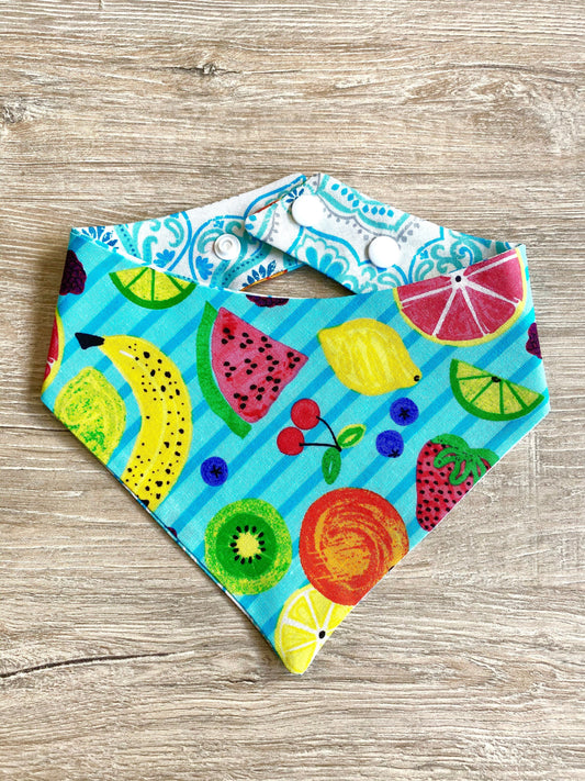 Fruity-Tooty Dog Bandana