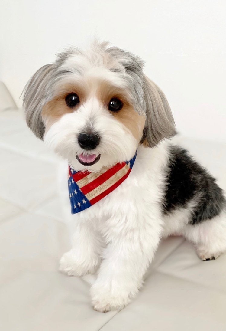 American Flag Dog Bandana