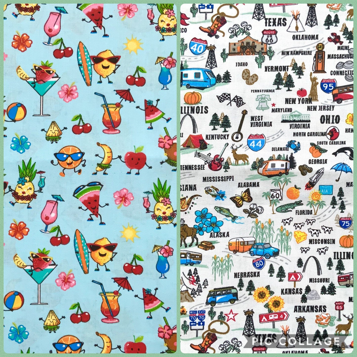 Tropical Fruit and Roadtrip dog bandana
