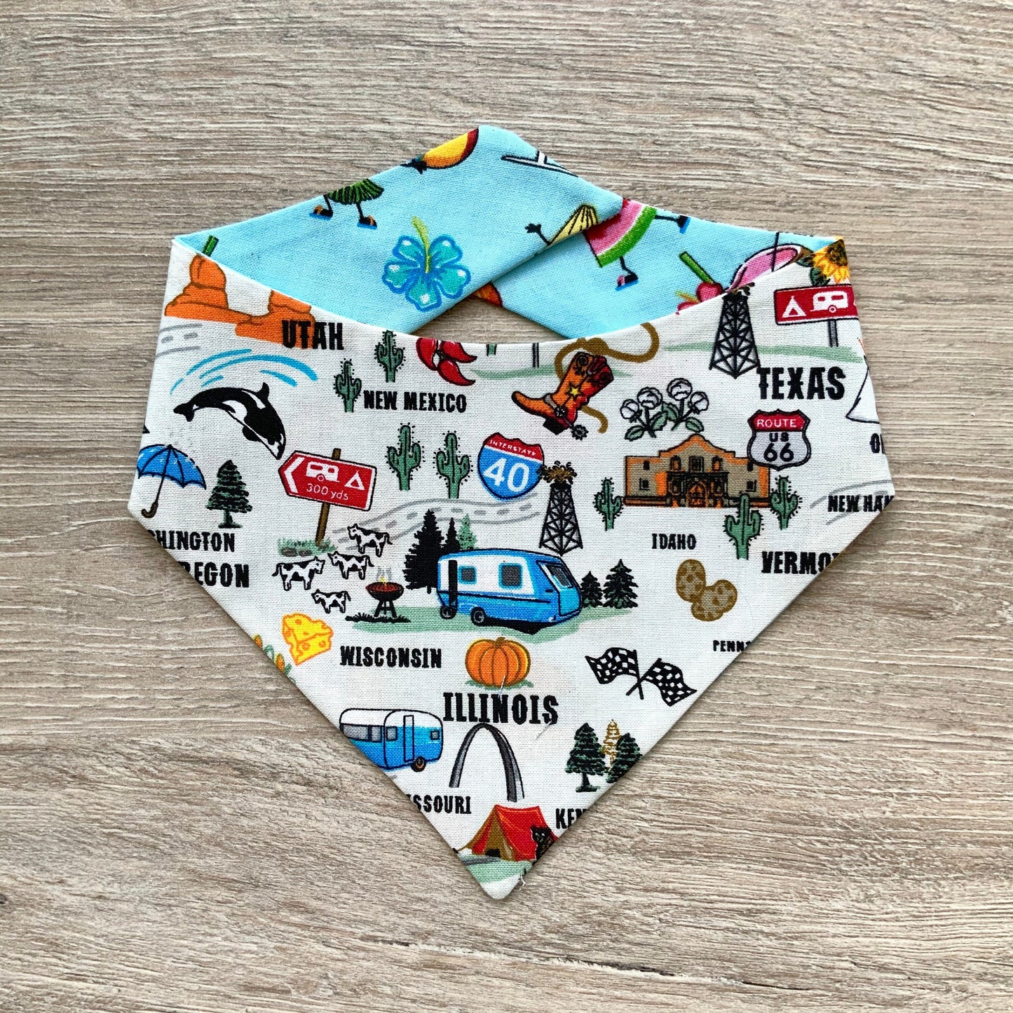 Tropical Fruit and Roadtrip dog bandana