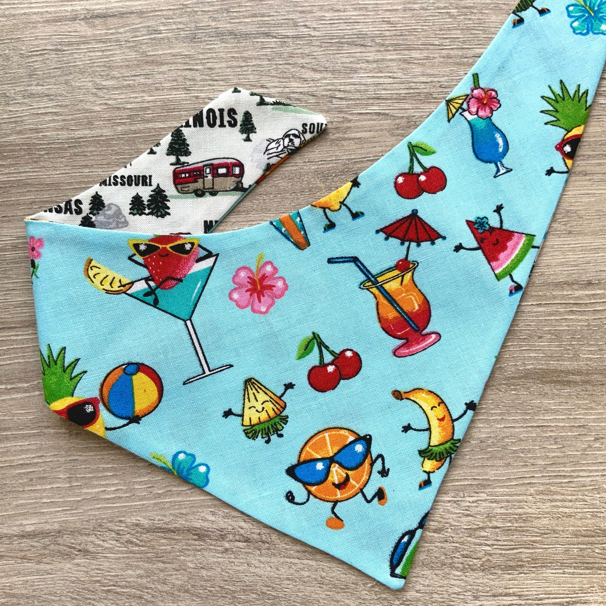 Tropical Fruit and Roadtrip dog bandana