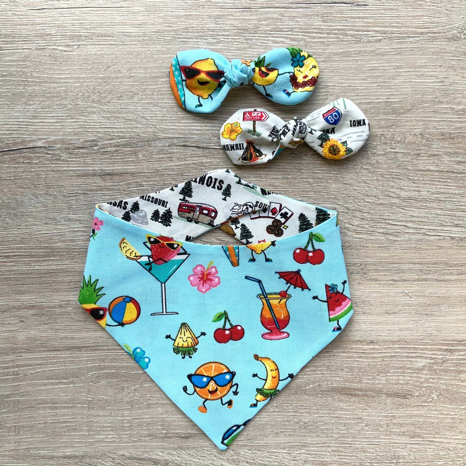 Tropical Fruit and Roadtrip dog bandana