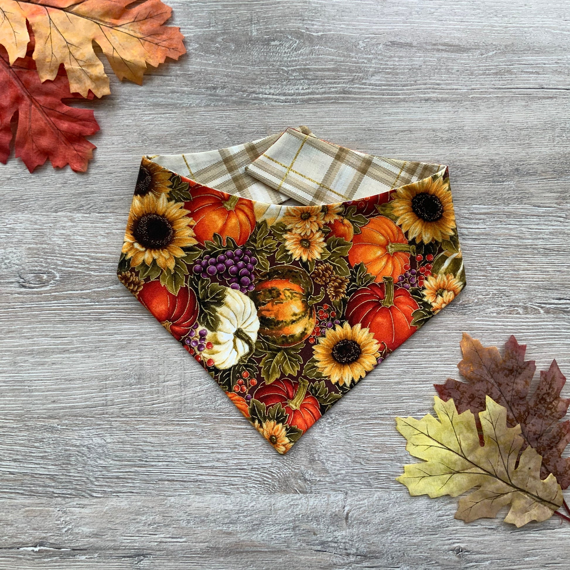 Pumpkin Patch Dog Bandana, Reversible Snap-On Pet Accessory