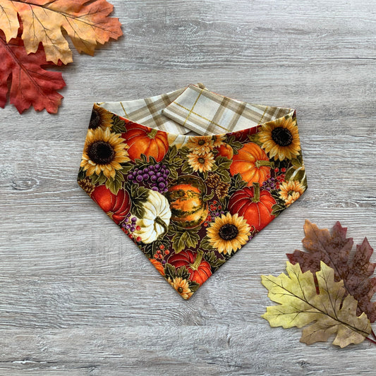 Pumpkin Patch Dog Bandana, Reversible Snap-On Pet Accessory