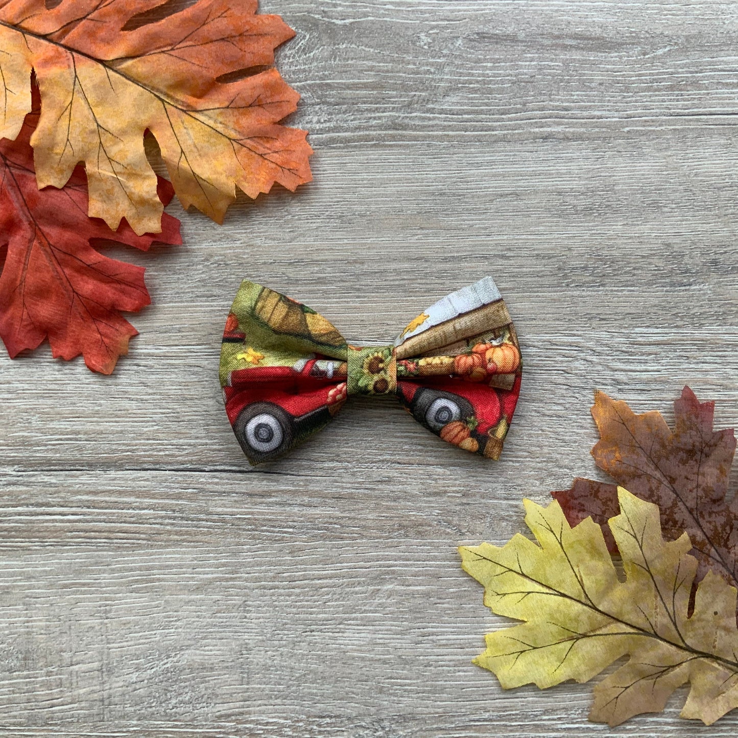 Autumn dog bowties