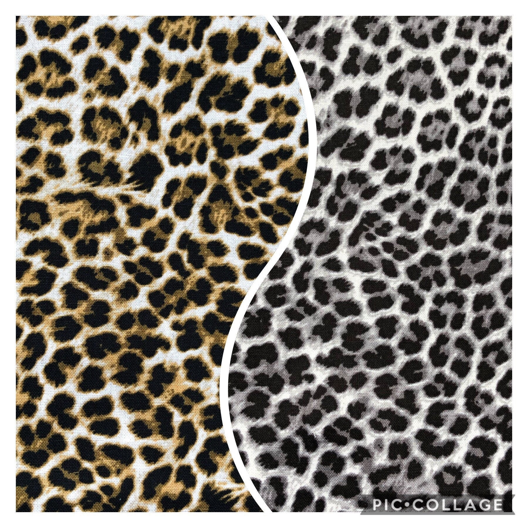 Cheetah Print Dog Bowtie, Colorful Pet Collar Accessory
