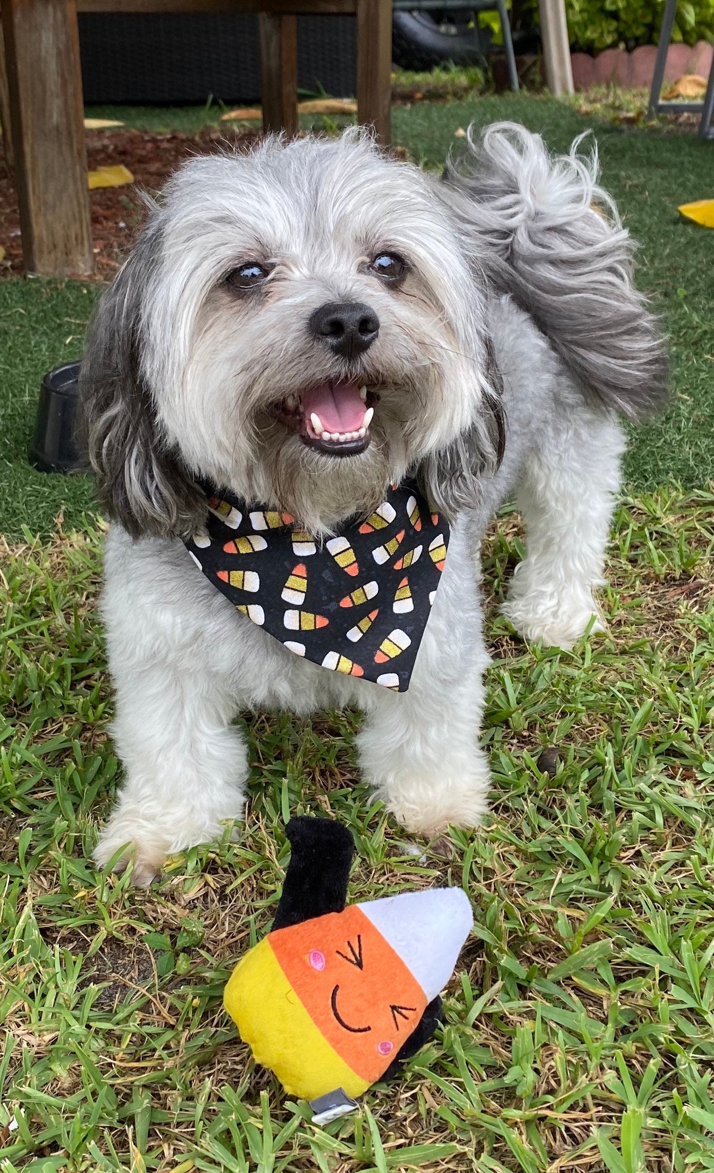 Halloween Dog Bandana, Candy Corn Spider Web, Snap-On Puppy Bandana