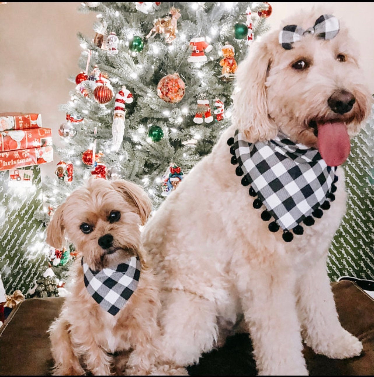 Christmas Dog Bandana, Black and White Check, Pet Scarf, snaps on bandana, tie on, reversible bandana, pompom bandana, pet bandana
