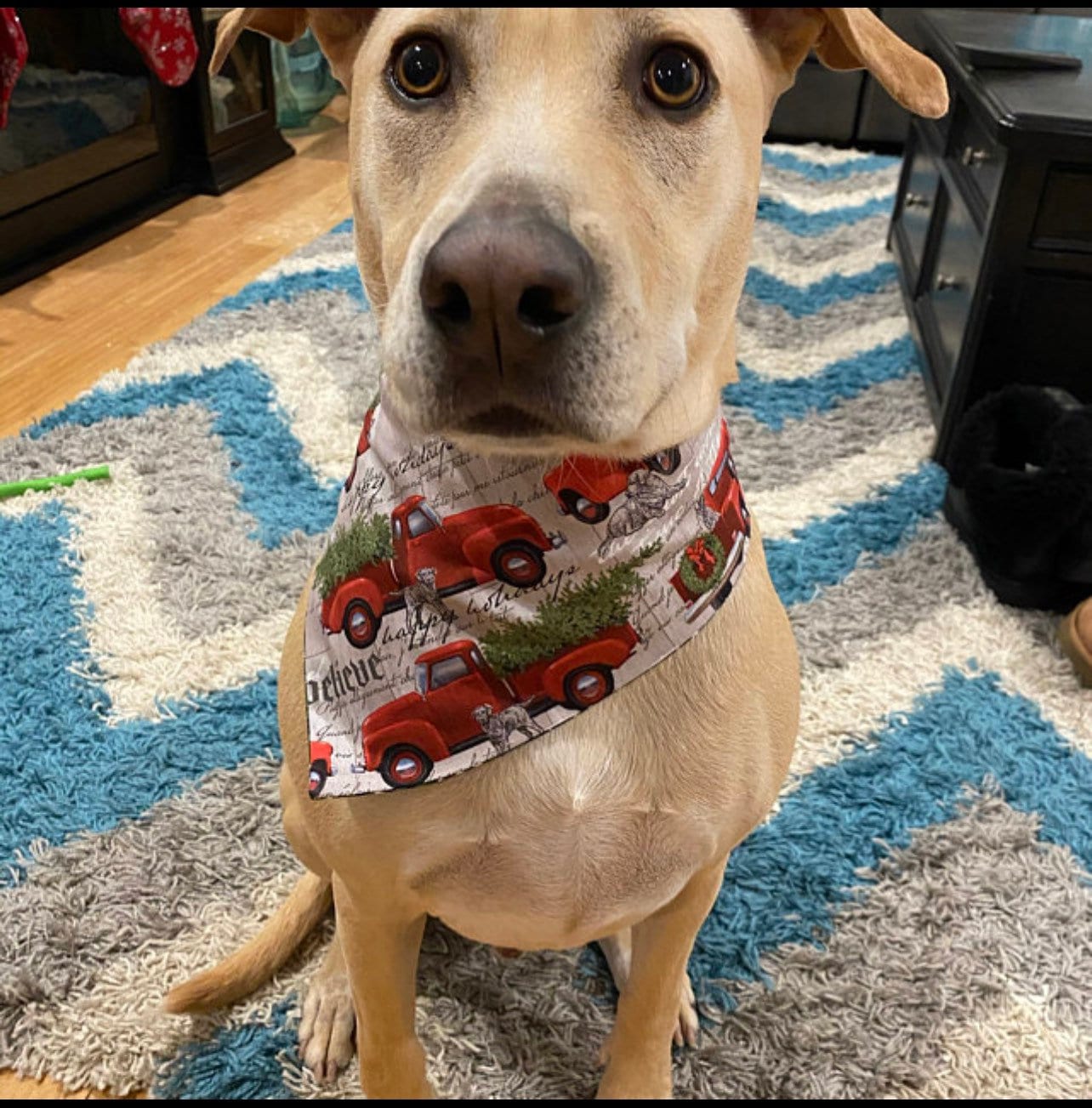 Christmas Dog Bandana, Red Truck Print, Reversible Pet Scarf