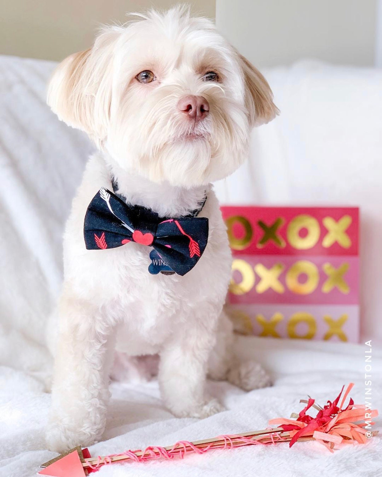 Valentines Dog Bowtie, Handmade Cotton Collar Bow Tie