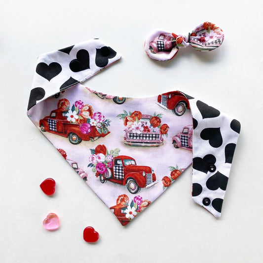 Red Truck Valentine's Day Dog Bandana, Snap-On Puppy Accessory