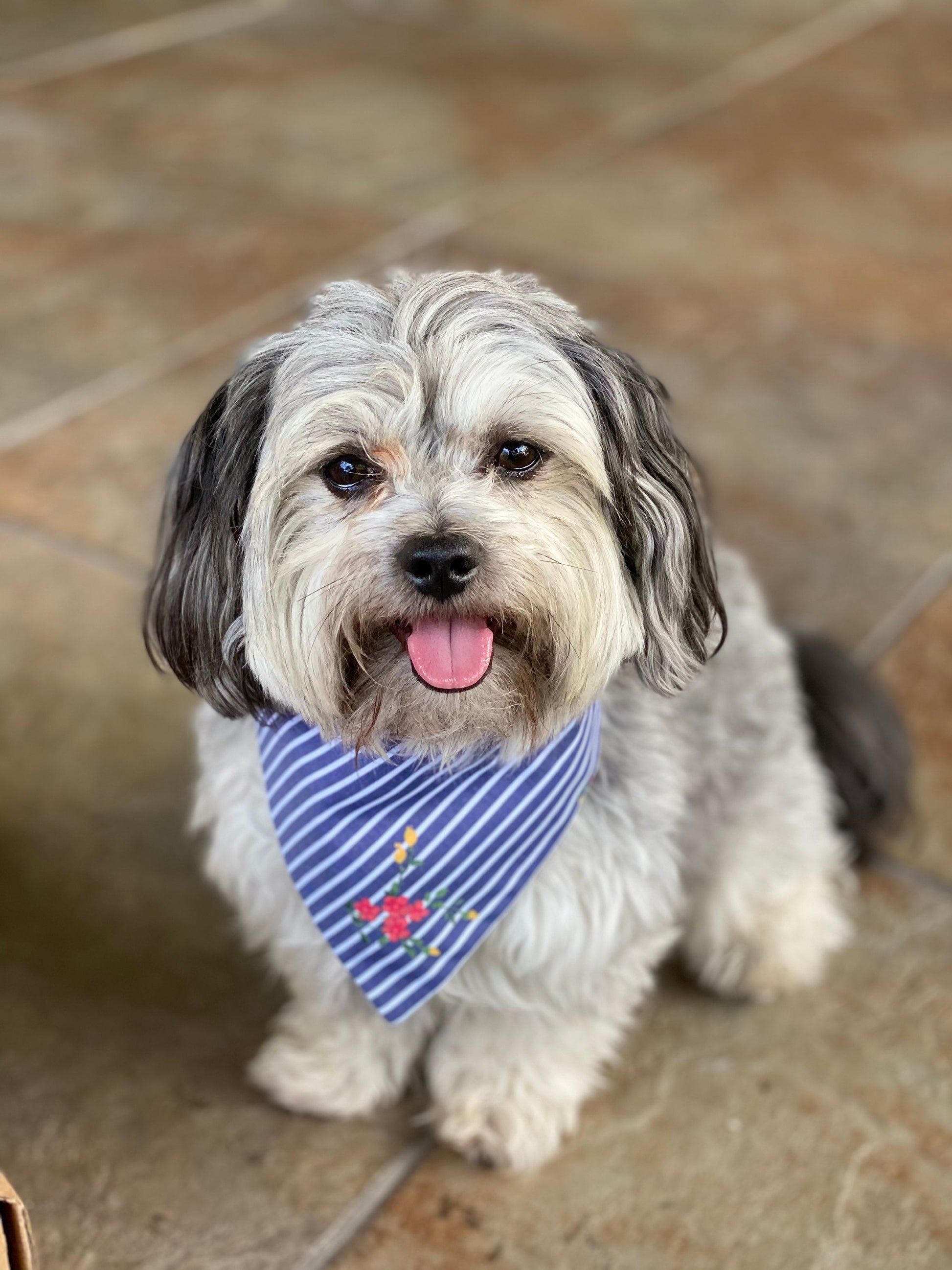 Denim Blue Striped Dog Bandana, Floral Pet Scarf, Reversible Tie or Snap