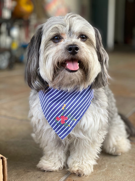 Denim Blue Striped Dog Bandana, Floral Pet Scarf, Reversible Tie or Snap