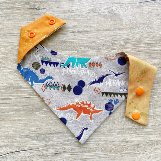 Dinosaur Dog Bandana, Snap On Reversible Pet Bandana, Hair Bow Set