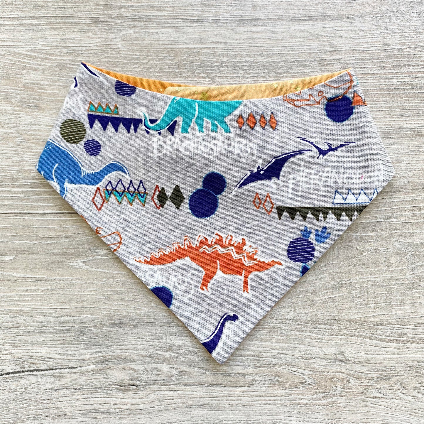 Dinosaur Dog Bandana, Snap On Reversible Pet Bandana, Hair Bow Set