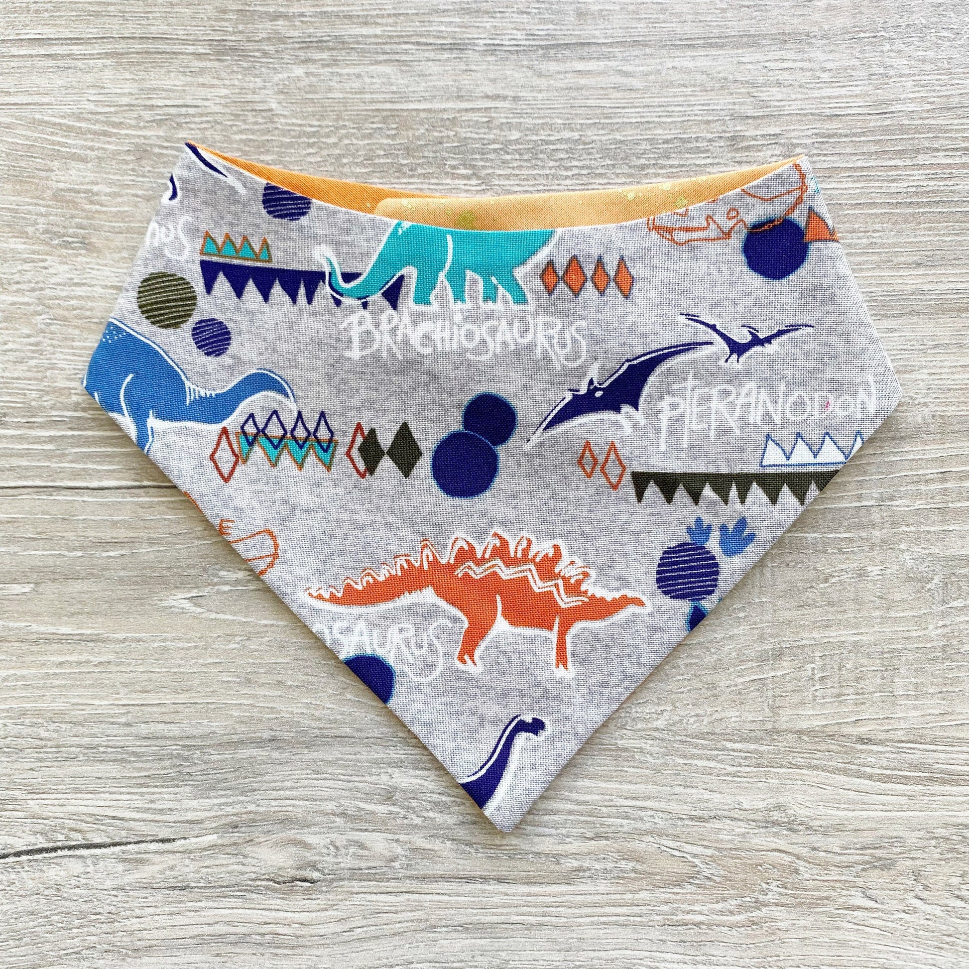 Dinosaur Dog Bandana, Snap On Reversible Pet Bandana, Hair Bow Set