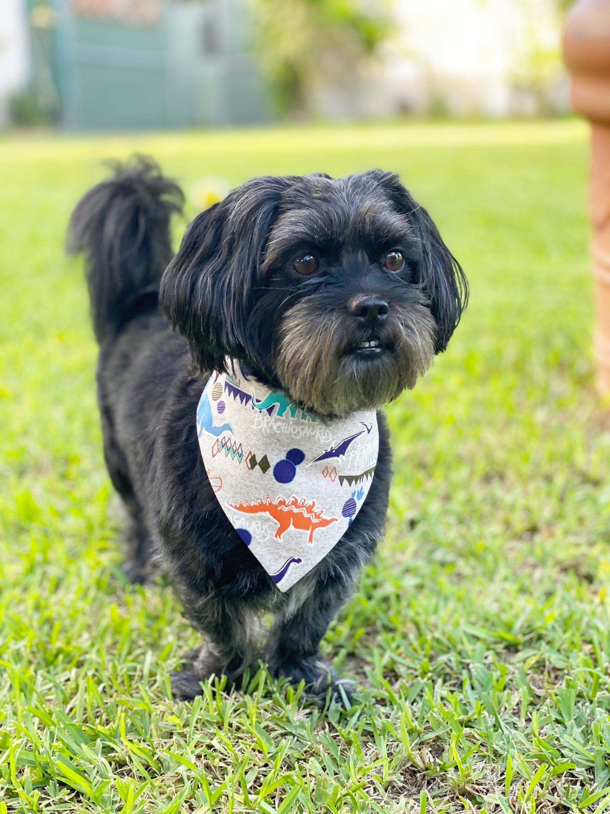 Dinosaur Dog Bandana, Snap On Reversible Pet Bandana, Hair Bow Set