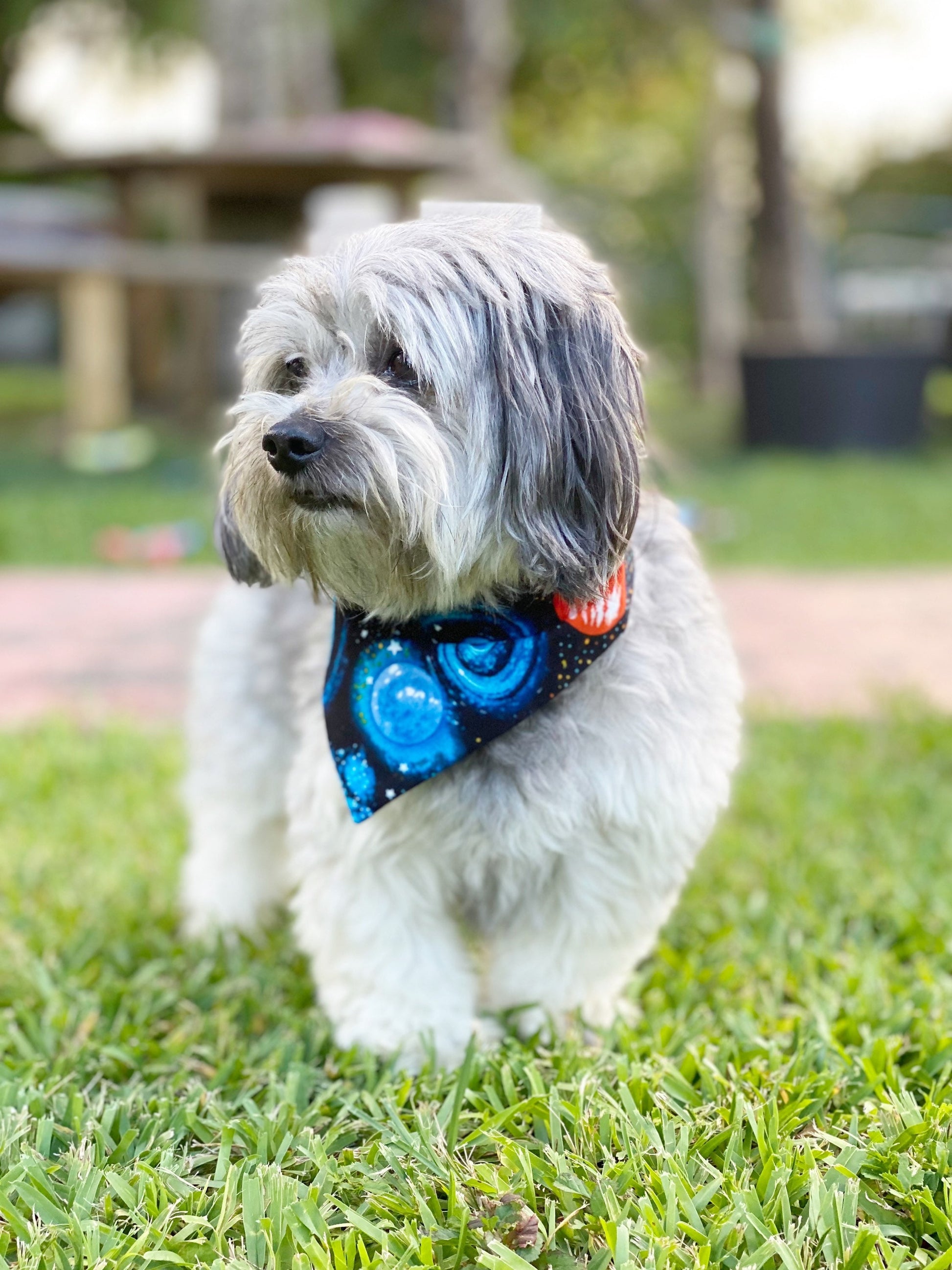 Solar System Dog Bandana, Snap-On, Reversible