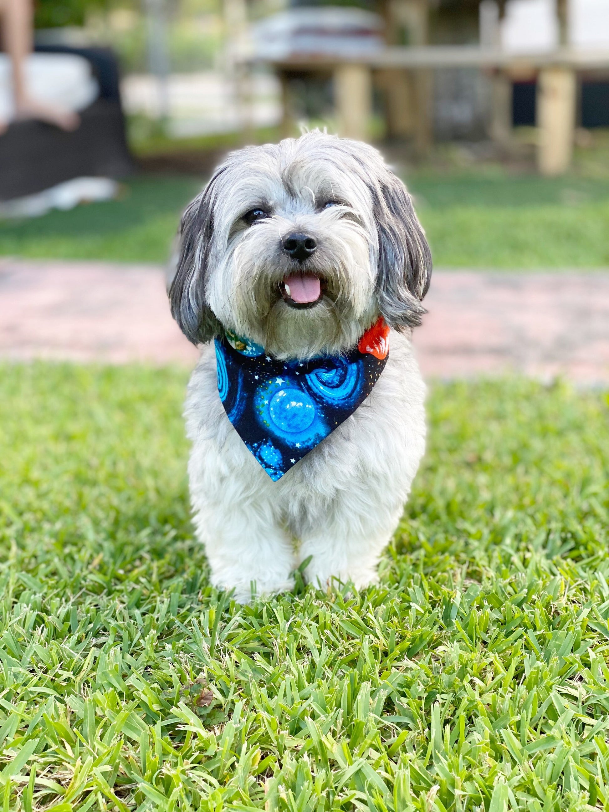 Solar System Dog Bandana, Snap-On, Reversible