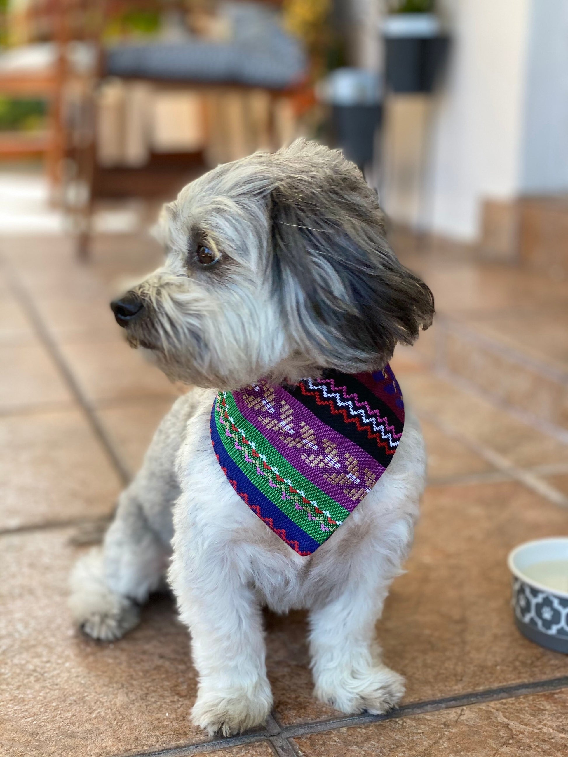Reversible Dog Bandana, Green & Purple Mexican Cambaya, Snap or Tie