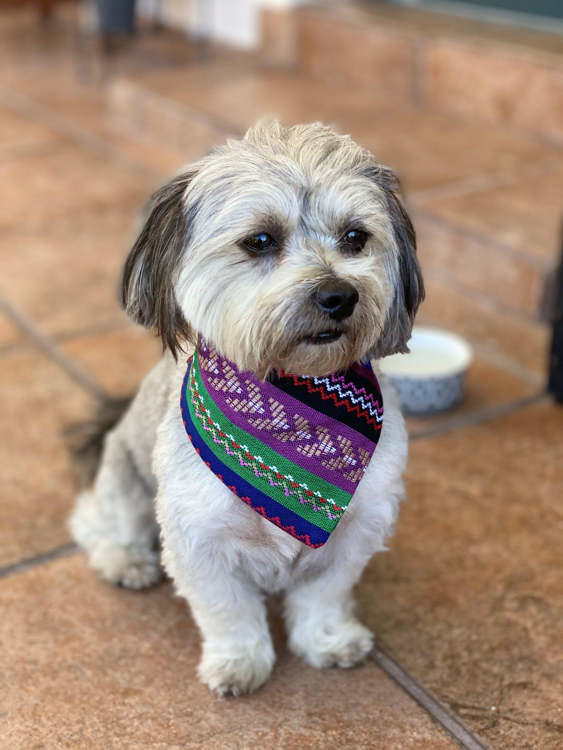 Reversible Dog Bandana, Green & Purple Mexican Cambaya, Snap or Tie