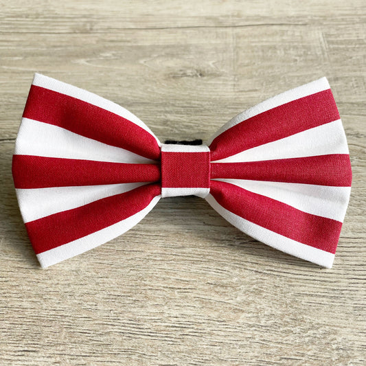 Red Stripesdog bowtie