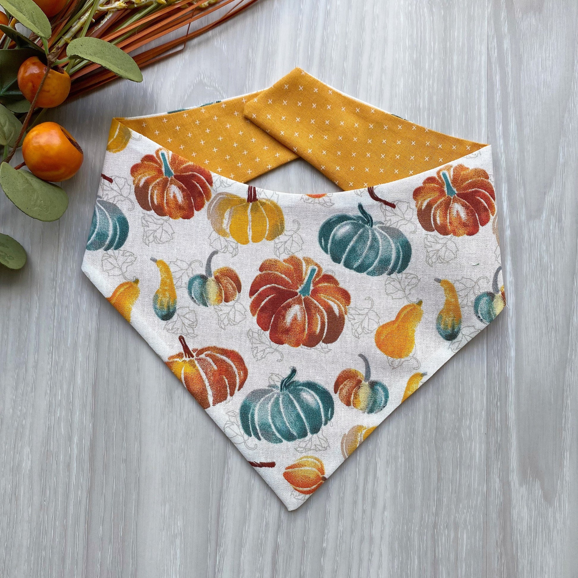 Pumpkin Fall Dog Bandana, Snap On, Bow & Scrunchie Set