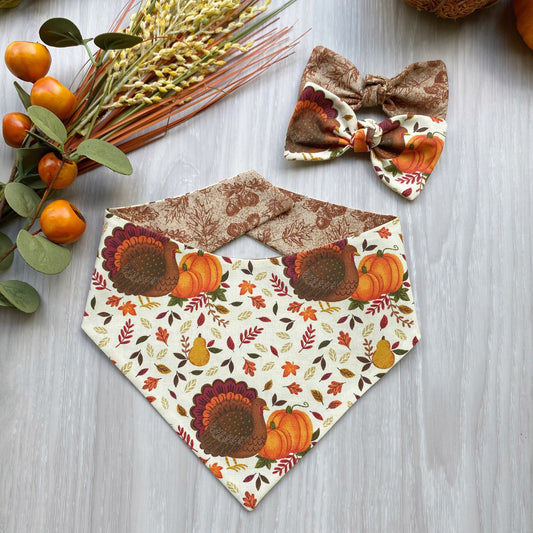 Turkey and Pumpkin Fall Dog bandana, Dog bandana, Snap on Bandana, Matching hair-bow, Bow and Bandana, Hair Scrunchies