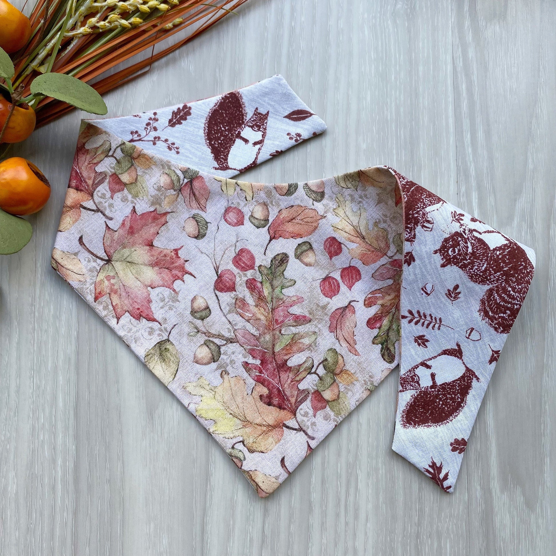 Nutty Squirrel Fall Dog Bandana with Matching Hair-Bow