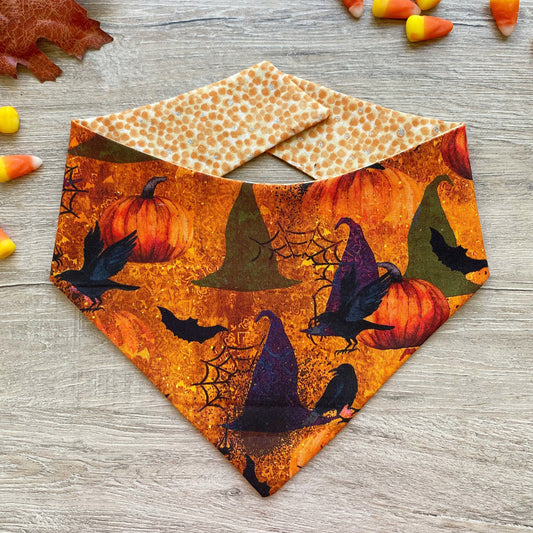 Halloween Dog bandana Witch hats