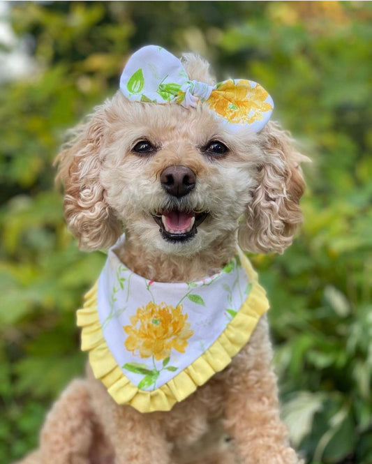 Yellow Flowers Dog Bandana with Ruffle, Matching Hair Bow