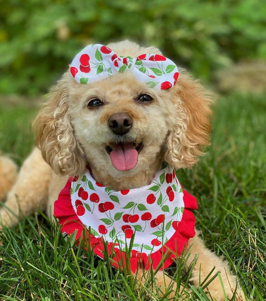 Red Cherry Dog Bandana