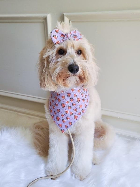Watermelon Dog Bandana, Snap-On Style, Matching Hair Bow